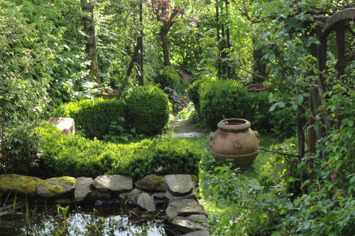 Wie uns unser Garten stärkt und unterstützt